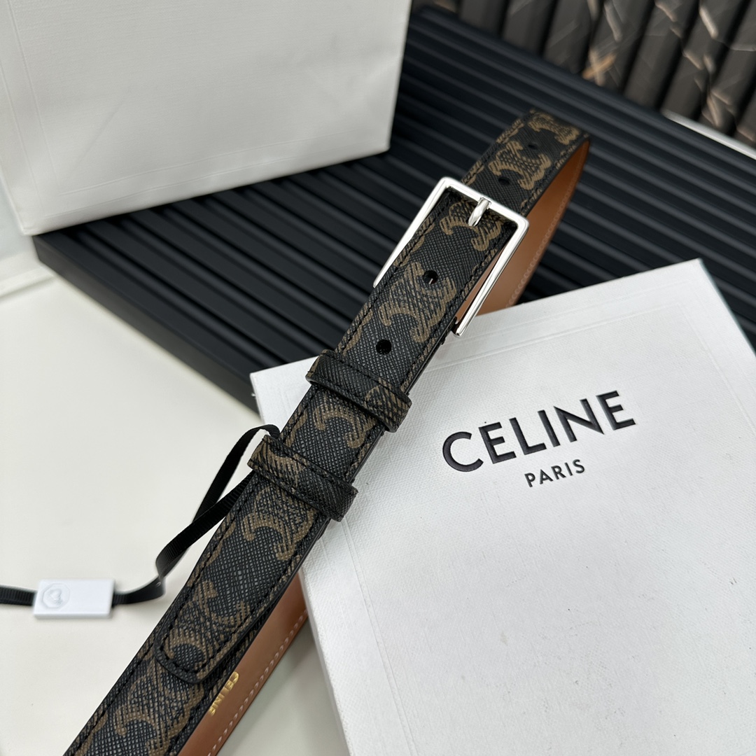 CELINEセリーヌ見分け方コピー 牛革 ビジネス 人気 プレゼント シルバーバックル ブラック_3