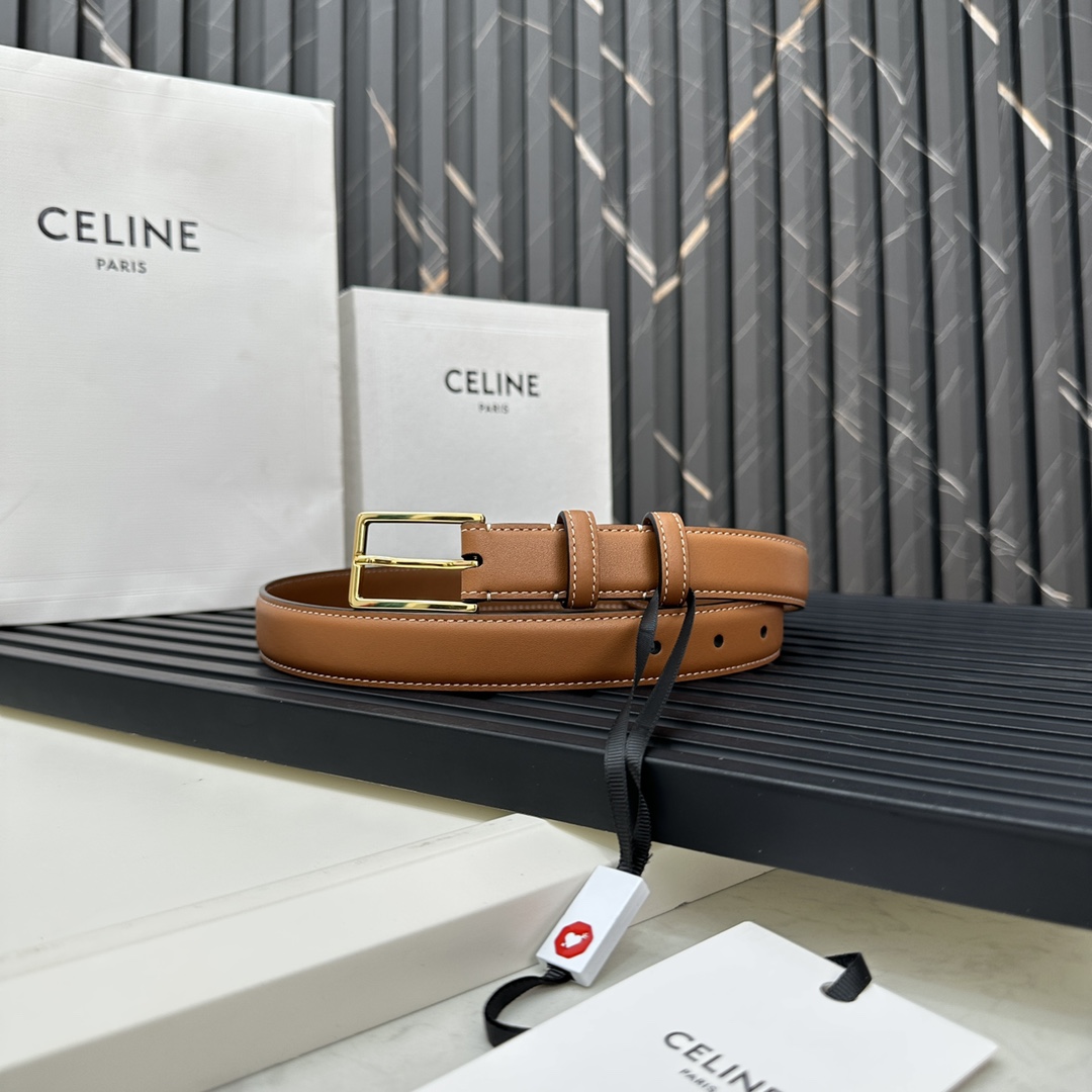 CELINEセリーヌ 個人輸入コピー牛革 ビジネス 激安品 プレゼント ゴールドバックル ブラウン_1