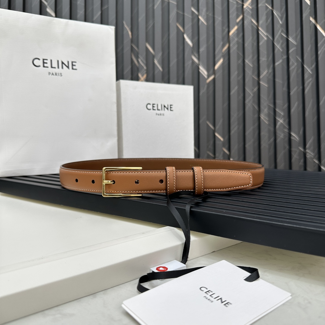 CELINEセリーヌ 個人輸入コピー牛革 ビジネス 激安品 プレゼント ゴールドバックル ブラウン_2