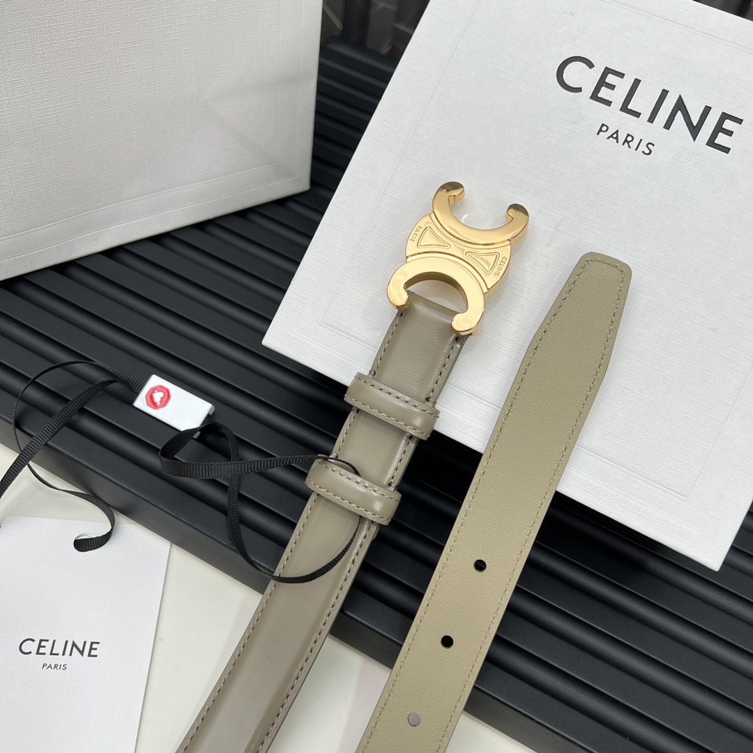 CELINEセリーヌ ベルトバッグ ナノ激安通販 牛革 ビジネス 激安品 ゴールドバックル グレイ_3